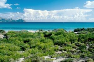 Benvinguts Port de Alcudia (Mallorca) Exterior foto